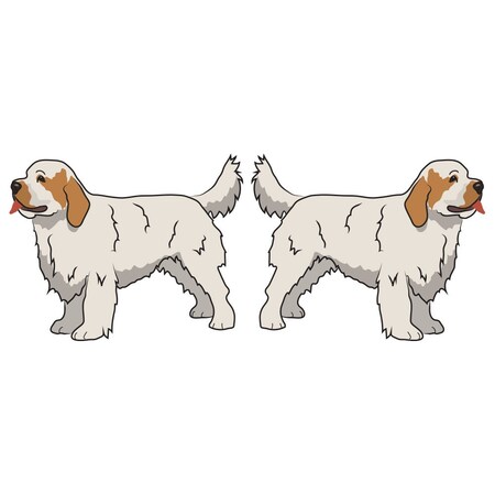 Signmission Clumber Spaniel Dog Decal, Dog Lover Decor Vinyl Sticker D-18-Clumber Spaniel